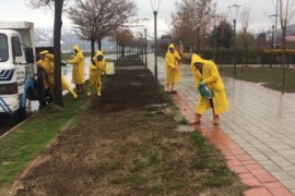 Tatvan’daki park, bahçe ve orta refüjlerde ağaç budama ve çimlendirme çalışması başlatıldı