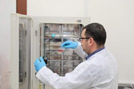 BEÜ Bünyesinde Hücre Kültürü Laboratuvarı Kuruldu