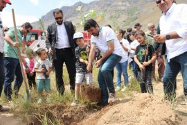 Nemrut Dağı’nda Orman Yangınlarında Hayatını Kaybedenler İçin Fidan Dikildi