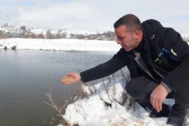 Aktivistler Kuşlar İçin Doğaya Yem Bıraktı