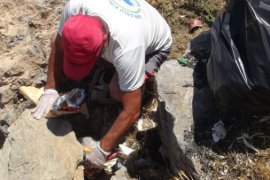 Doğaseverler ile Aktivistler Van Gölü Sahilinde Çöp Topladı