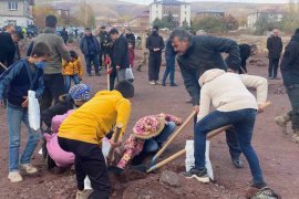 Ahlat’ta Fidanlar Toprakla Buluştu