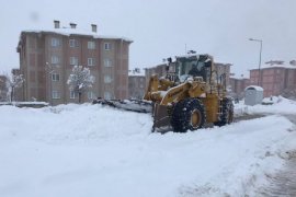 Bitlis’te karla mücadele çalışmaları