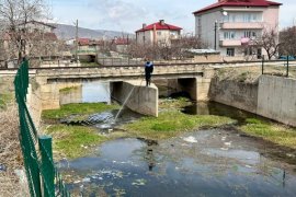 Tatvan’da Larva ile Mücadele Çalışmaları Başladı