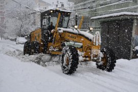 Tatvan’da karla mücadele çalışmaları