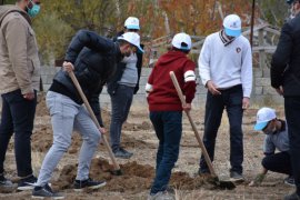 Tatvan’da 500 Adet Fidan Toprak ile Buluştu