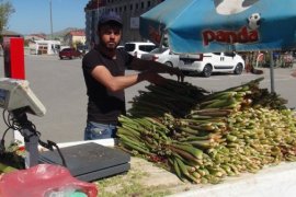 Tatvan’da yayla muzu tezgahta yerini aldı 