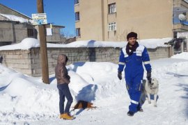 Tatvan’daki hayvanlar için doğaya 1000 kilogram yem bırakıldı