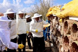 Coğrafi İşaretli Bitlis Balında Hasat Sevinci Yaşandı