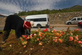 Bitlis’te Mevsimlik Çiçek Ekimine Başlandı