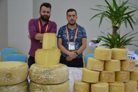 Tatvan’da Peynir Fuarı açıldı