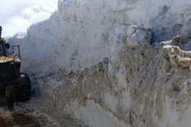Hizan’da Kapanan Köy Yolları Ulaşıma Açıldı