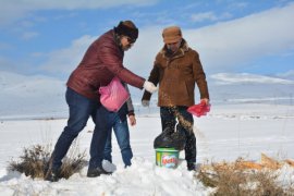 Tatvan'da yabani hayvanlar için doğaya yiyecek bırakıldı