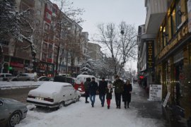 Tatvan’da kar yağışı etkisini sürdürüyor