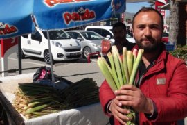 Tatvan’da yayla muzu tezgahta yerini aldı 