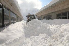 Bitlis'te Karla Mücadele Çalışmaları Sürüyor