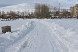 Tatvan’da kar temizleme çalışmaları