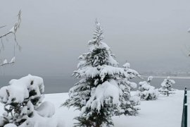 Yoğun Kar Yağışıyla Tatvan Beyaza Büründü