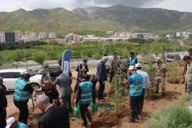 Bitlis'te Adalet Ormanı oluşturuldu