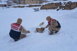 Bitlis'te Doğaya Yiyecek ve Yem Bırakıldı