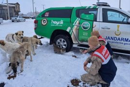 Bitlis'te Doğaya Yiyecek ve Yem Bırakıldı