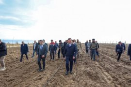 Adilcevaz’da Ceviz Fidanı Dağıtımı ve Kapama Ceviz Bahçesi Projesi Açılışı Gerçekleştirildi