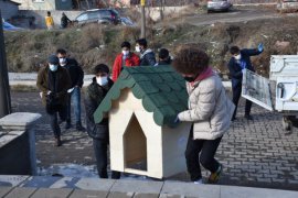 Tatvan Belediyesi’nden Sokak Hayvanlarına Kulübe