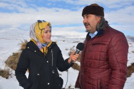 Tatvan'da yabani hayvanlar için doğaya yiyecek bırakıldı