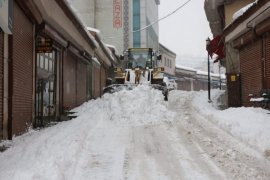 Bitlis’te Karla Mücadele Çalışmaları