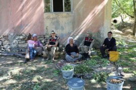 Bitlis’te Jandarma Yaşlıları ve Çocukları Ziyaret Etti