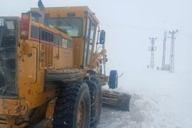 Bitlis'te Kar ve Tipiden Dolayı 87 Köy Yolu Ulaşıma Kapandı