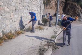 Bitlis Belediyesi Çalışanları Yabani Otları Temizliyor