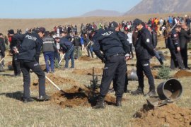 Bitlis’te fidan dikimine büyük katılım