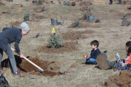 Bitlis’te fidan dikimine büyük katılım