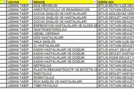 Bitlis’e 21 uzman doktor atandı