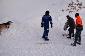 Tatvan’daki hayvanlar için doğaya 1000 kilogram yem bırakıldı