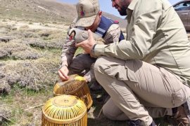 Bitlis’te Kaçak Avcılık Yapanlara 63 Bin Lira Ceza Kesildi