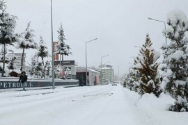 Yoğun Kar Yağışıyla Tatvan Beyaza Büründü