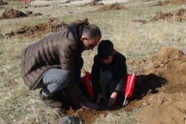 Bitlis’te fidan dikimine büyük katılım