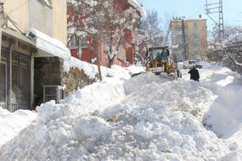 Bitlis Belediyesi'nin kar temizleme seferberliği sürüyor