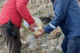 Nemrut Dağı’na Yem Bırakmaya Giden Belediye Ekipleri Mahsur Kalan Turistleri Kurtardı