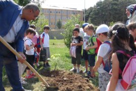 Tatvan’da ‘15 Temmuz’ şehitleri anısına 251 fidan dikildi