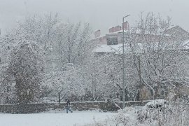 Tatvan’da Kar Yağışı Etkili Oldu