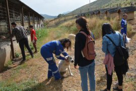 Havanseverler Bitlis Hayvan Bakım ve Rehabilitasyon Merkezi’ni ziyaret etti