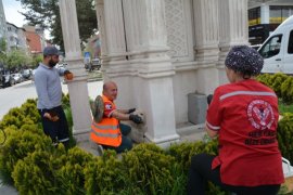 Tatvan’daki Sokak Hayvanlarına Yönelik Aşılama Çalışmaları Yapıldı