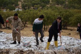 Manzığ Dağı'ndaki ay yıldız boyandı