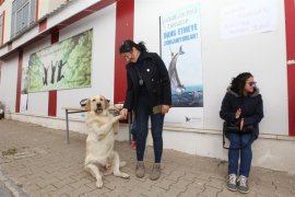 BEÜ’de sokak hayvanları yararına kermes düzenlendi