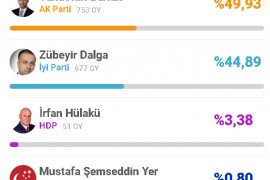 Bitlis’te 31 Mart Seçim Sonuçları