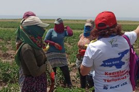 Van Gölü İçin Yürüyen Kadınlar ile Aktivistler Aydınlar Beldesi’ne Ulaştı