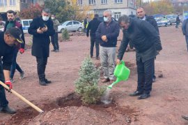 Ahlat’ta Fidanlar Toprakla Buluştu